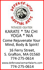 Defense-Wise Martial Arts