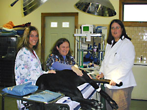 Kayleigh Brigham MHS, Sue Usher, Dr Jill Hopfenbeck SAH