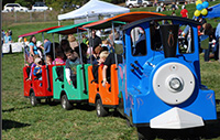 Fall Festival