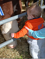 Fall Festival